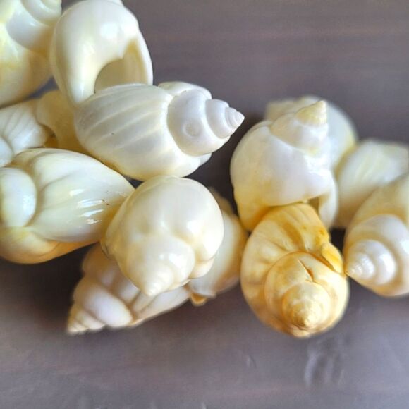 New! White & Yellow Summer Shell Necklace Puka Light Pastel - Picture 4 of 6